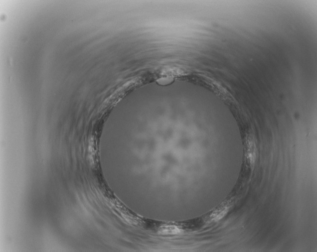 X0000056000519200508261753