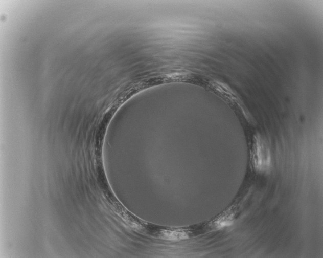 X0000056000520200508261753