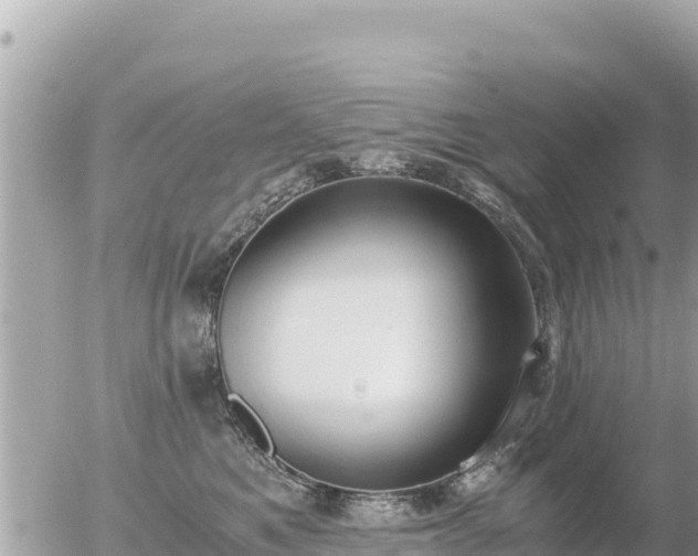 X0000056000521200508261753