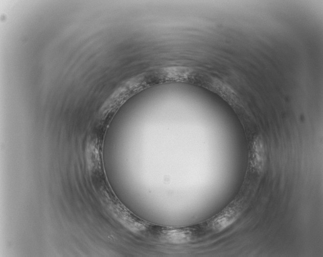 X0000056000522200508261753