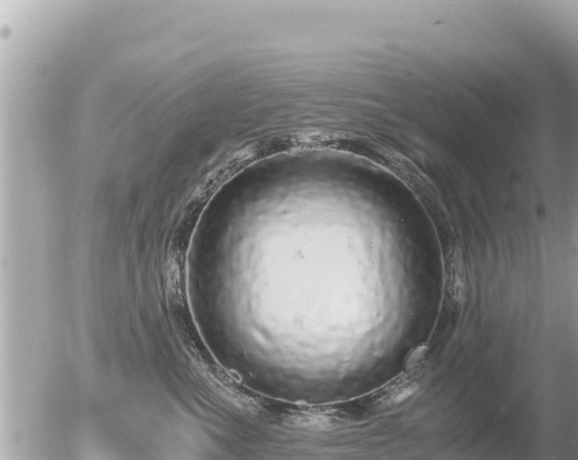 X0000056000523200508261753