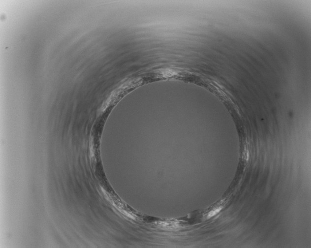 X0000056000524200508261753