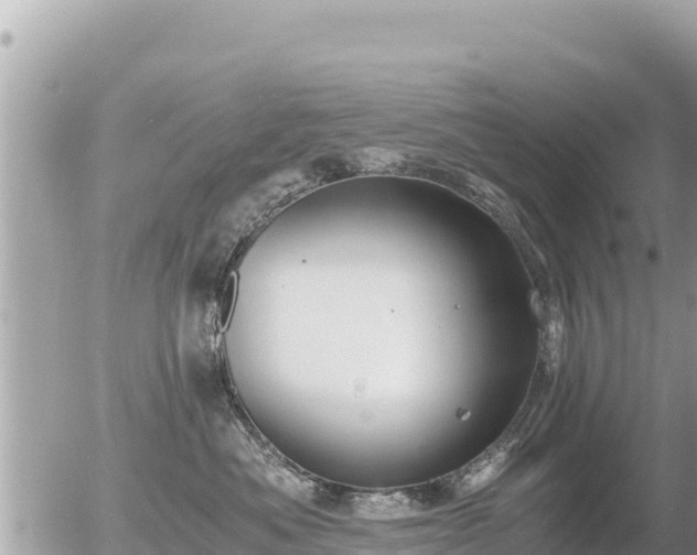 X0000056000525200508261753