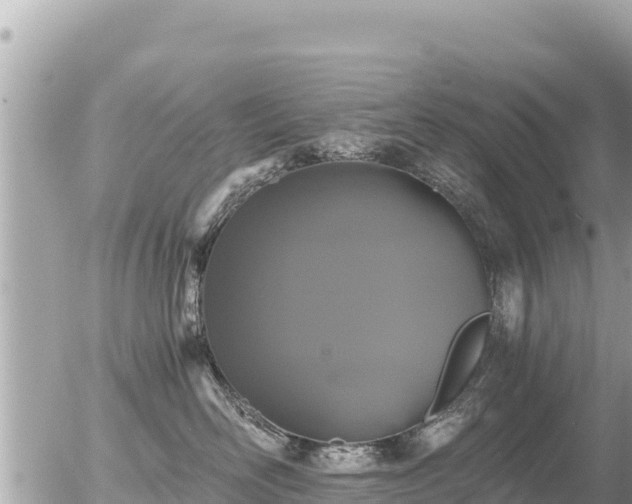 X0000056000526200508261753