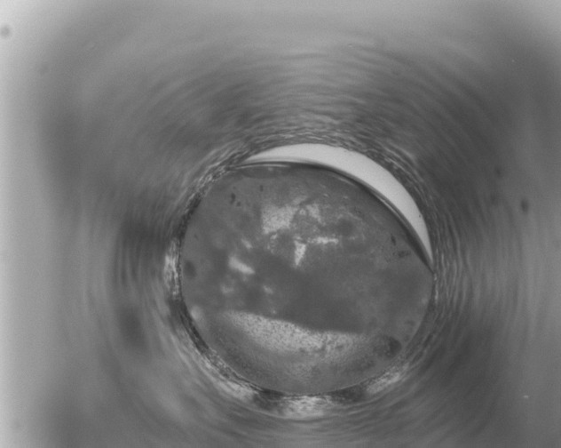 X0000056000527200508261753