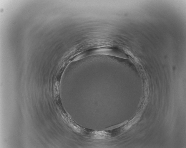 X0000056000528200508261753