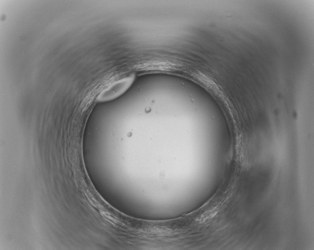 X0000056000529200508261752