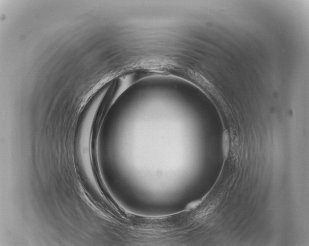 X0000056000530200508261752