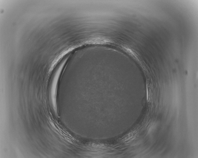 X0000056000531200508261752