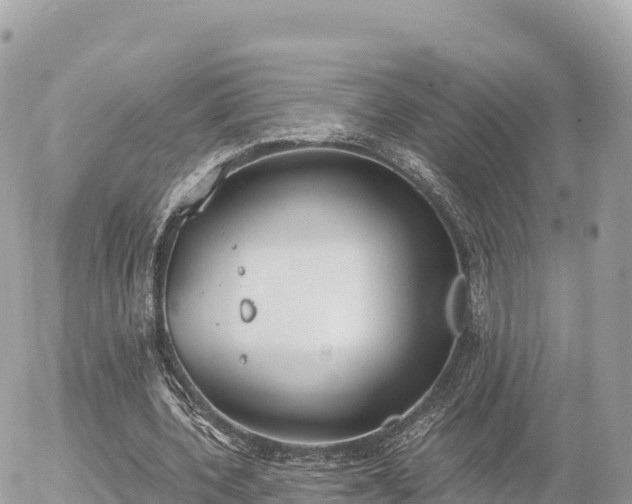 X0000056000532200508261752