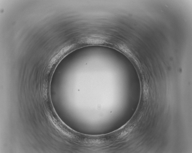 X0000056000533200508261752