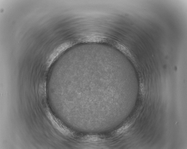 X0000056000534200508261752