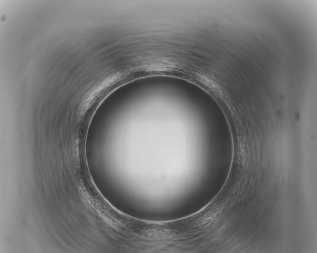 X0000056000535200508261752