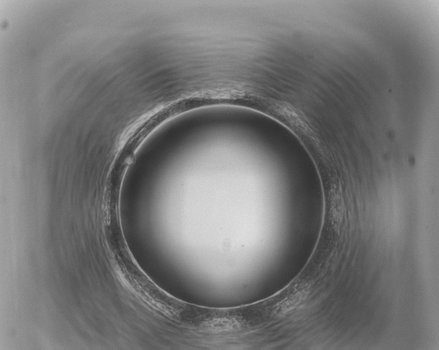 X0000056000536200508261752