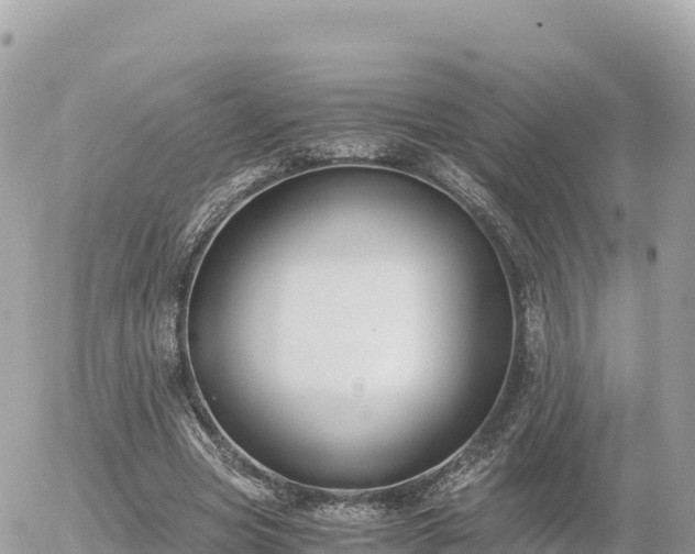 X0000056000537200508261752