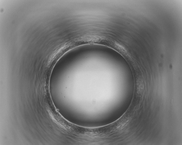 X0000056000538200508261752