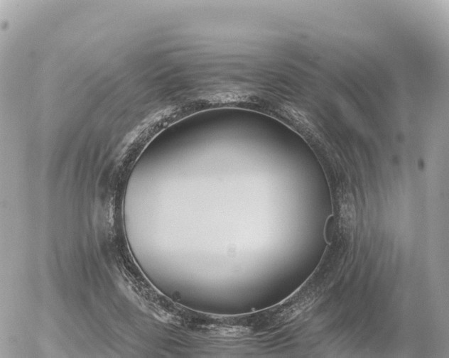 X0000056000539200508261752