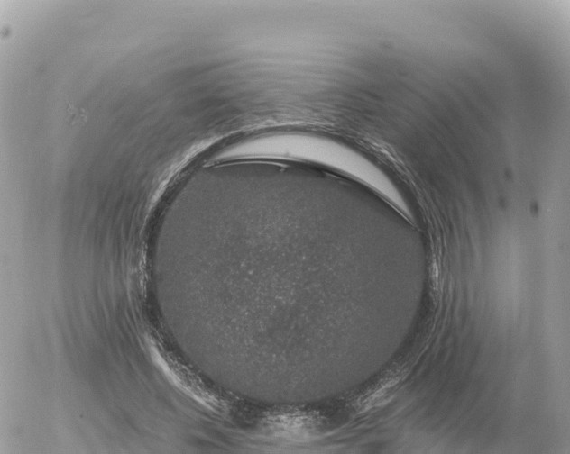 X0000056000540200508261752