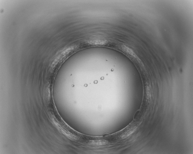 X0000056000541200508261752