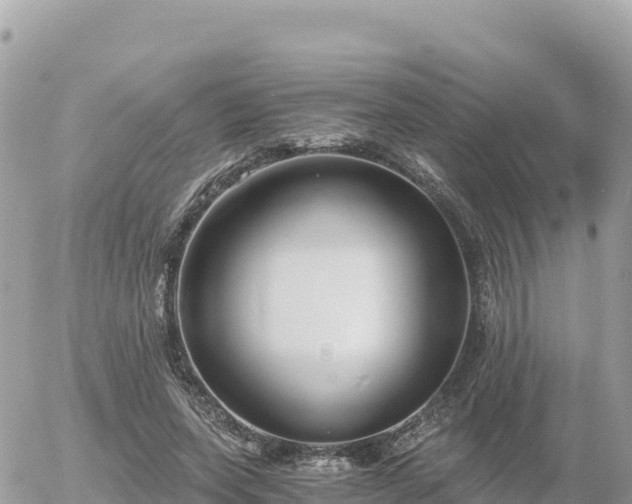 X0000056000543200508261752