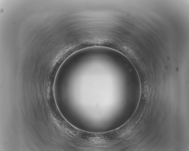 X0000056000544200508261752