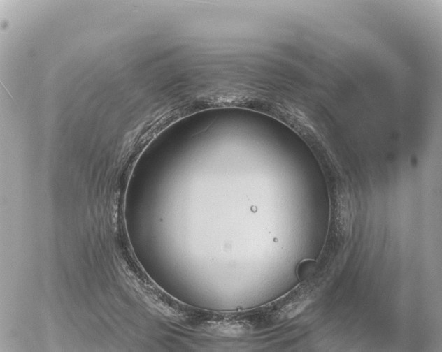 X0000056000545200508261752