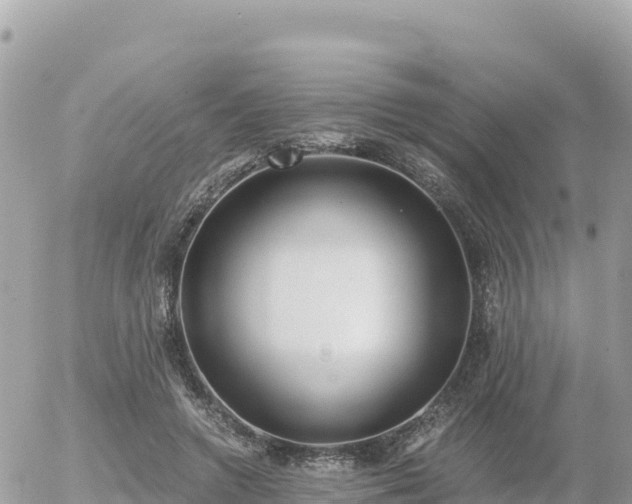 X0000056000546200508261752