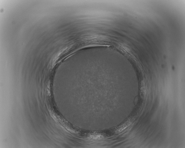 X0000056000547200508261752