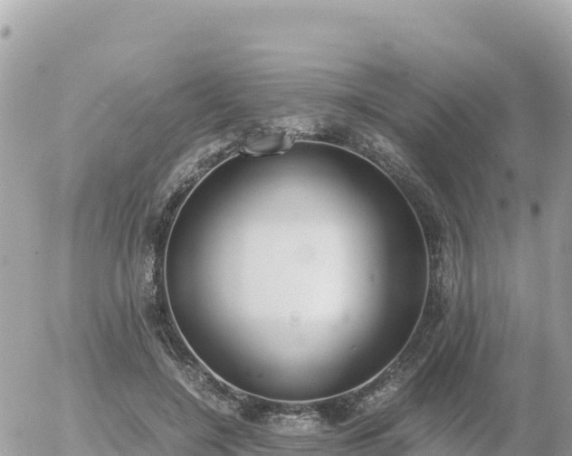 X0000056000548200508261752