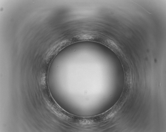 X0000056000549200508261752