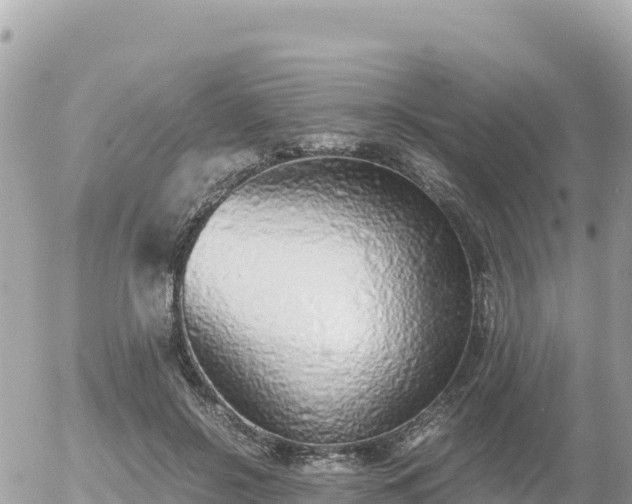 X0000056000550200508261752