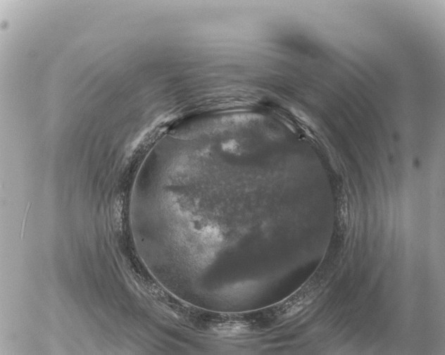 X0000056000551200508261752