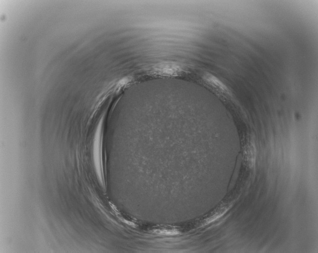 X0000056000552200508261752