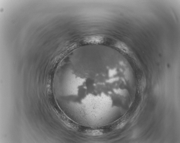 X0000056000553200508261752