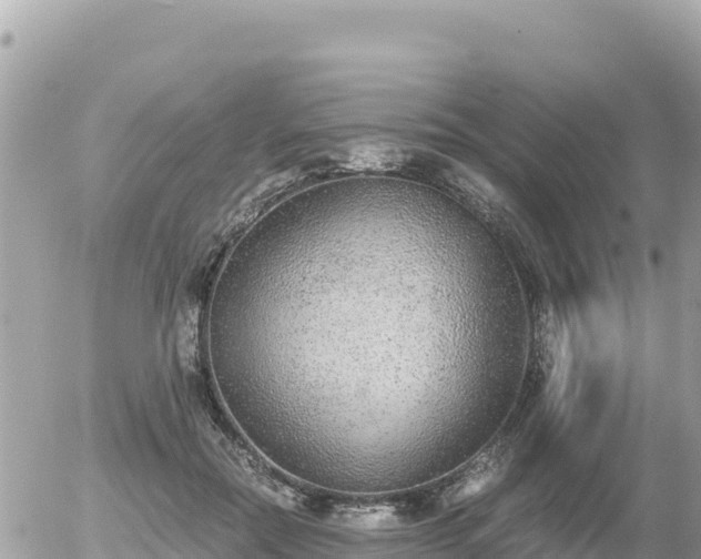 X0000056000554200508261752