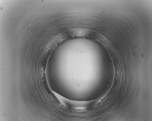 X0000056000555200508261752