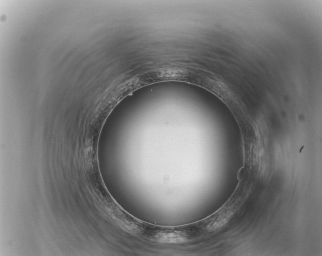 X0000056000557200508261752