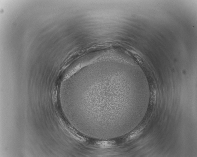 X0000056000558200508261752