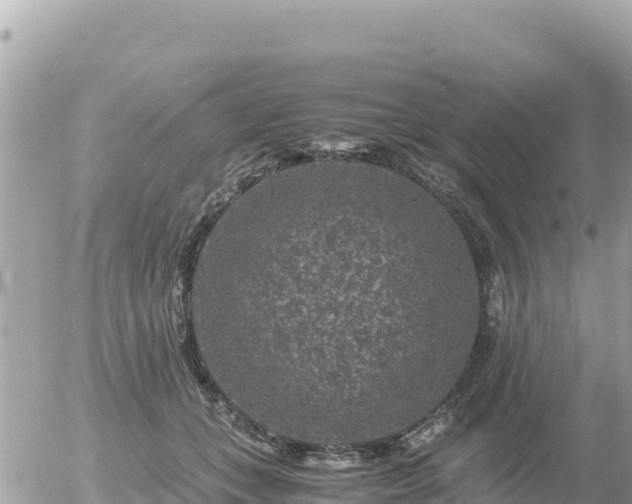 X0000056000559200508261752