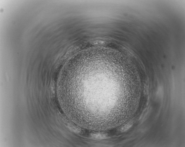 X0000056000561200508261752