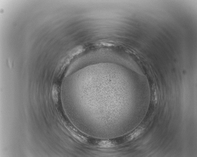 X0000056000562200508261752