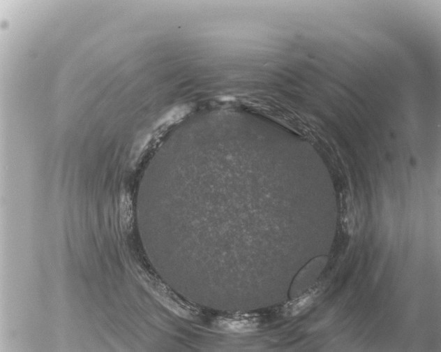 X0000056000563200508261752