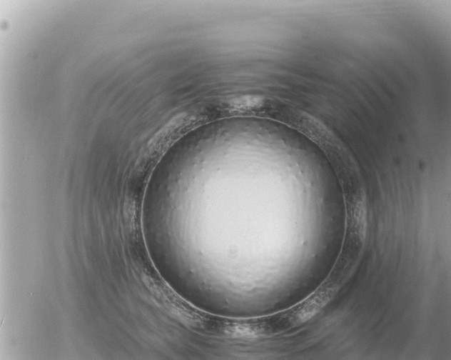 X0000056000565200508261752