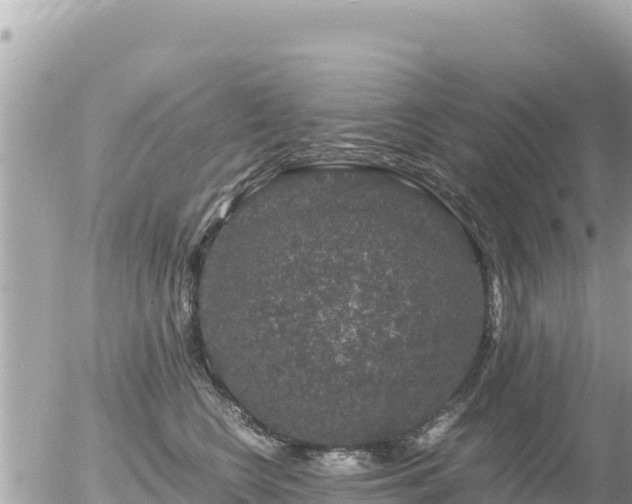 X0000056000566200508261752