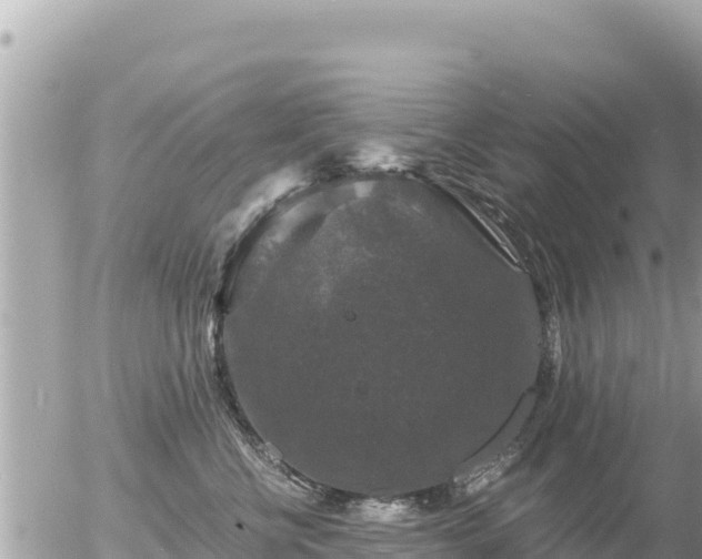 X0000056000570200508261753