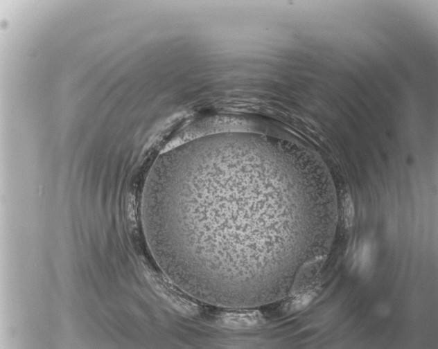 X0000056000571200508261753