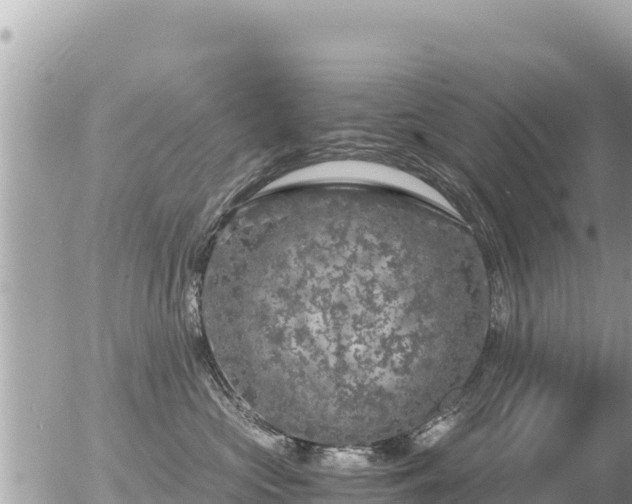 X0000056000573200508261753