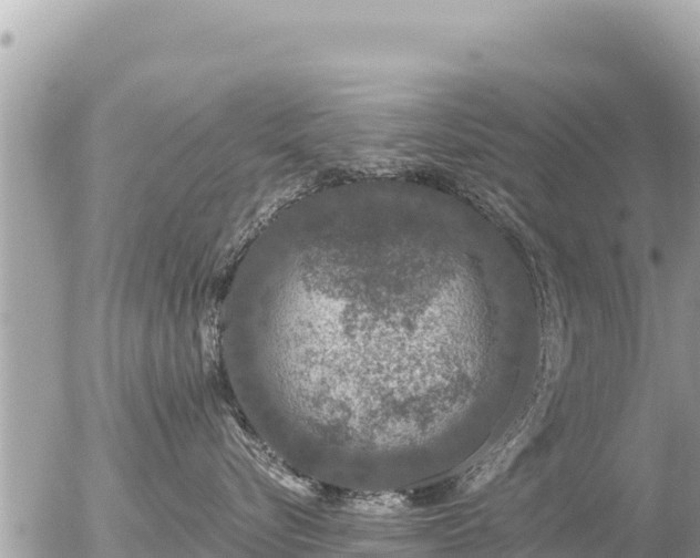 X0000056000576200508261753