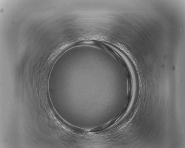 X0000056000577200508261752