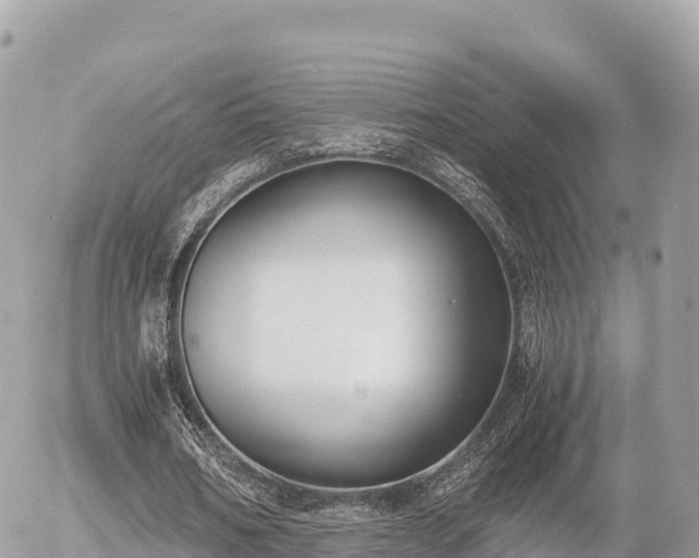 X0000056000578200508261752